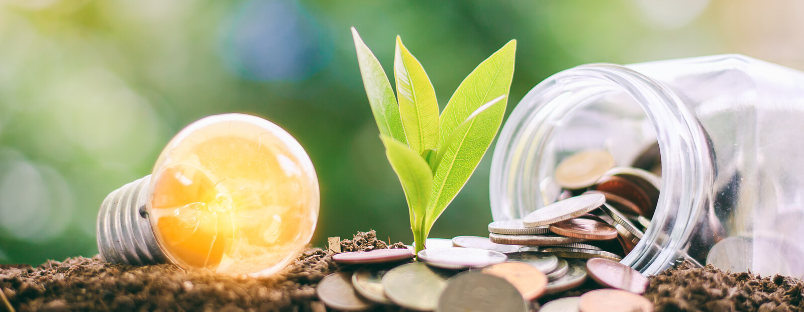 Erneuerbare Energien